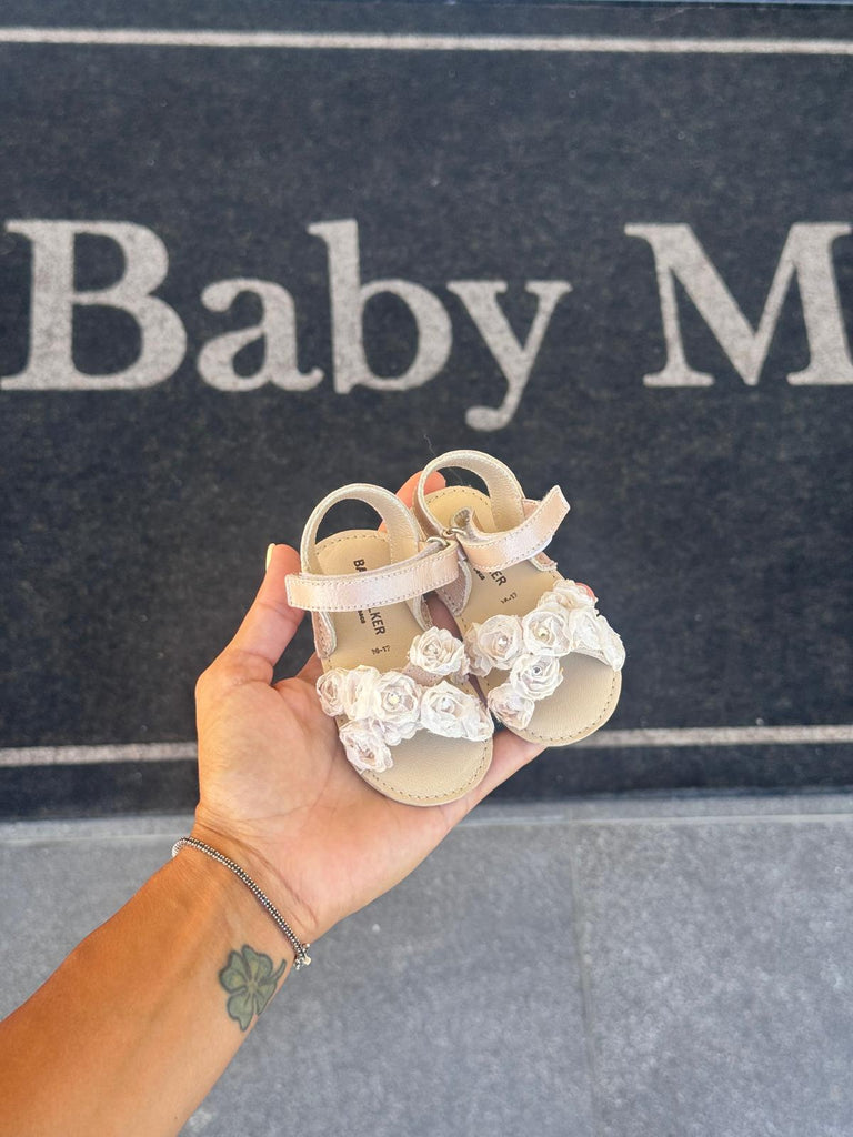 ꜱᴀɴᴅᴀʟɪ - Baby Model R C