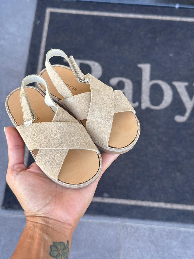 ꜱᴀɴᴅᴀʟɪ - Baby Model R C