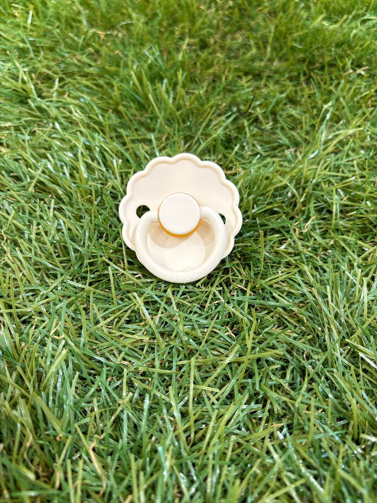 ᴄɪᴜᴄᴄɪ - Baby Model R C